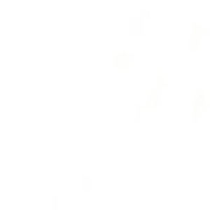 Meet your Posher, Ella